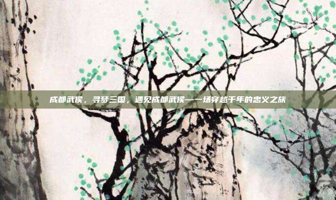 成都武侯，寻梦三国，遇见成都武侯—一场穿越千年的忠义之旅