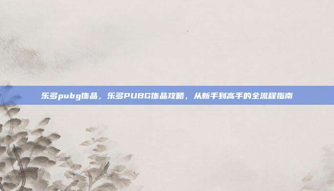 乐多pubg饰品，乐多PUBG饰品攻略，从新手到高手的全流程指南