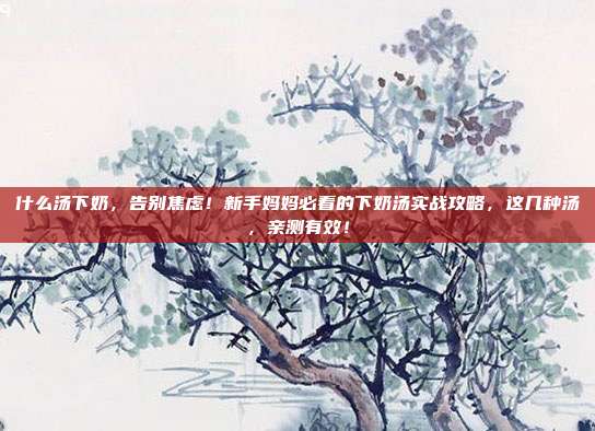 什么汤下奶，告别焦虑！新手妈妈必看的下奶汤实战攻略，这几种汤，亲测有效！