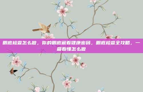 眼底检查怎么做,你的眼底藏着健康密码,眼底检查全攻略,一篇看懂怎么做