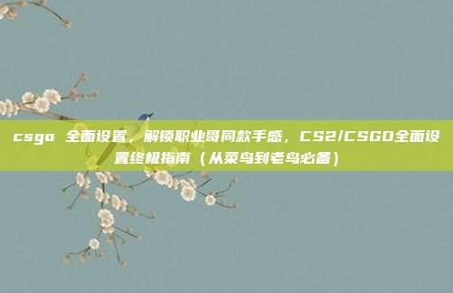 csgo 全面设置，解锁职业哥同款手感，CS2/CSGO全面设置终极指南（从菜鸟到老鸟必备）