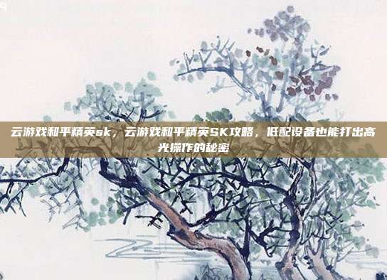 云游戏和平精英sk，云游戏和平精英SK攻略，低配设备也能打出高光操作的秘密