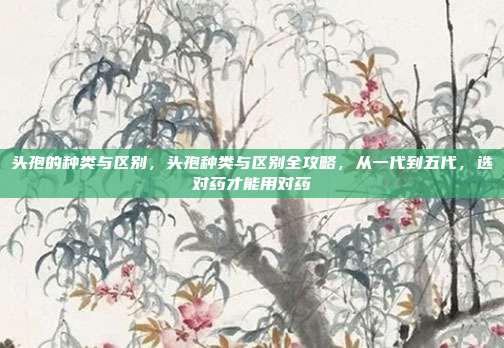 头孢的种类与区别，头孢种类与区别全攻略，从一代到五代，选对药才能用对药