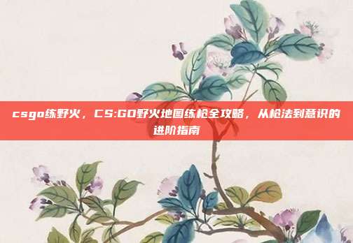 csgo练野火，CS:GO野火地图练枪全攻略，从枪法到意识的进阶指南