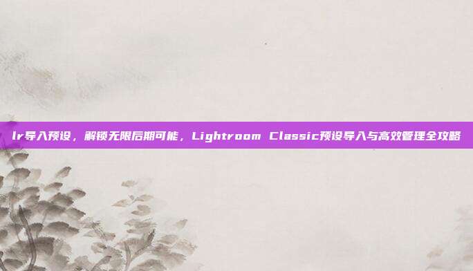 lr导入预设，解锁无限后期可能，Lightroom Classic预设导入与高效管理全攻略