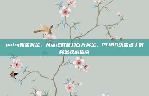 pubg明星奖金，从落地成盒到百万奖金，PUBG明星选手的奖金收割指南