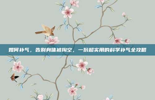 如何补气，告别身体被掏空，一份超实用的科学补气全攻略
