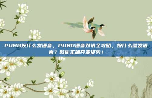 PUBG按什么发语音，PUBG语音对讲全攻略，按什么键发语音？教你正确开麦姿势！