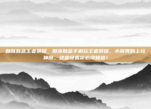 魅族魅蓝王者荣耀,魅族魅蓝手机玩王者荣耀,小屏党的上分神器,这些设置你必须知道!