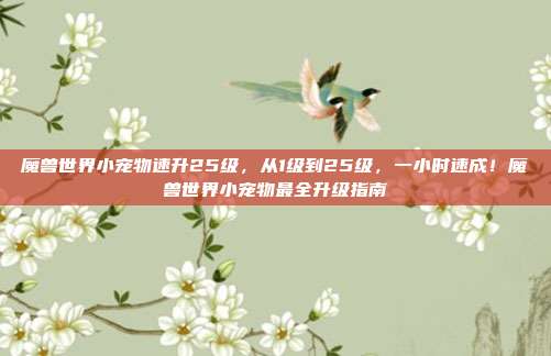 魔兽世界小宠物速升25级，从1级到25级，一小时速成！魔兽世界小宠物最全升级指南