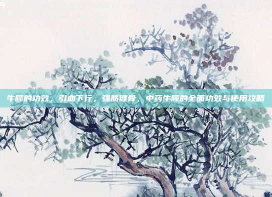 牛膝的功效,引血下行,强筋健骨,中药牛膝的全面功效与使用攻略
