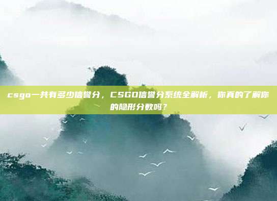 csgo一共有多少信誉分，CSGO信誉分系统全解析，你真的了解你的隐形分数吗？