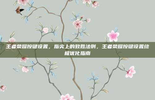 王者荣耀按键设置，指尖上的致胜法则，王者荣耀按键设置终极优化指南