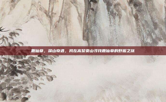 鹿仙草，深山奇遇，我在高黎贡山寻找鹿仙草的野趣之旅
