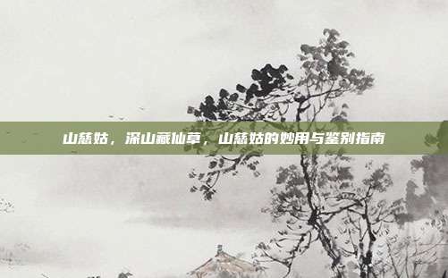 山慈姑,深山藏仙草,山慈姑的妙用与鉴别指南