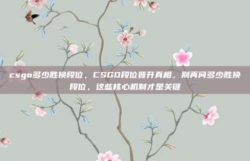 csgo多少胜换段位，CSGO段位晋升真相，别再问多少胜换段位，这些核心机制才是关键
