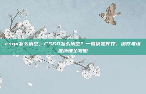 csgo怎么清空,CSGO怎么清空?一篇搞定库存、缓存与设置清理全攻略