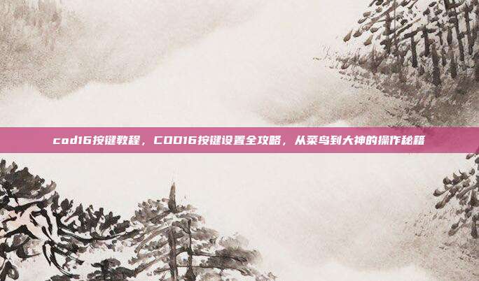cod16按键教程,COD16按键设置全攻略,从菜鸟到大神的操作秘籍