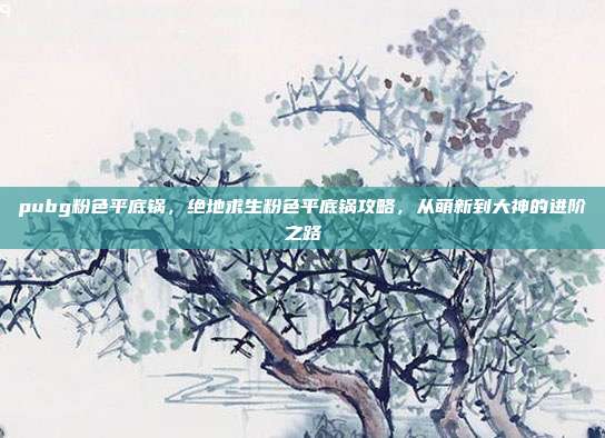 pubg粉色平底锅，绝地求生粉色平底锅攻略，从萌新到大神的进阶之路