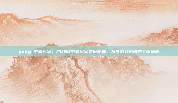 pubg 中国冠军,PUBG中国冠军夺冠秘籍,从战术到枪法的全面指南