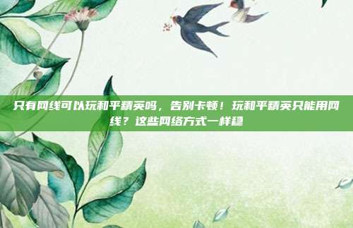 只有网线可以玩和平精英吗，告别卡顿！玩和平精英只能用网线？这些网络方式一样稳