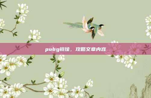 pubg镜像，攻略文章内容