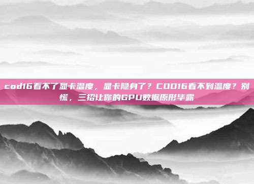 cod16看不了显卡温度,显卡隐身了?COD16看不到温度?别慌,三招让你的GPU数据原形毕露
