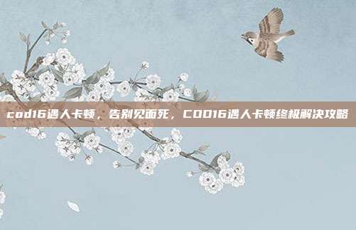 cod16遇人卡顿,告别见面死,COD16遇人卡顿终极解决攻略