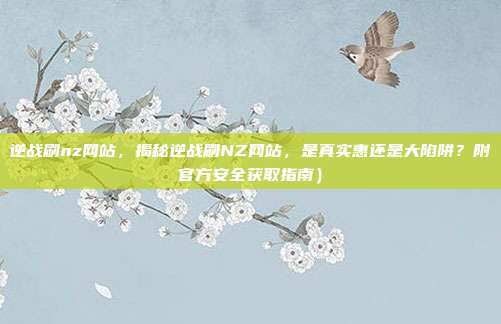 逆战刷nz网站,揭秘逆战刷NZ网站,是真实惠还是大陷阱?附官方安全获取指南)