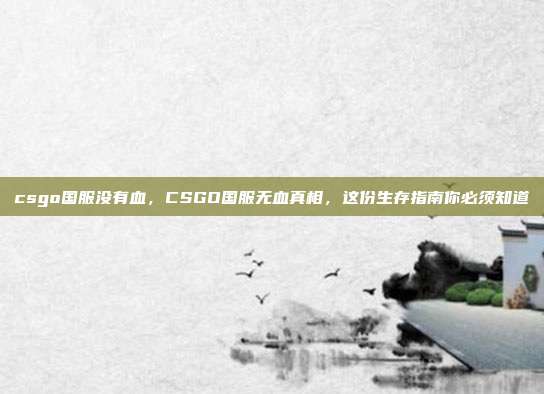 csgo国服没有血，CSGO国服无血真相，这份生存指南你必须知道