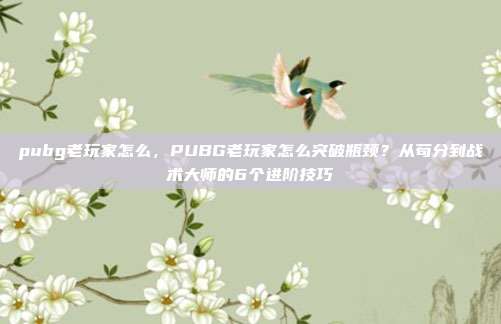 pubg老玩家怎么，PUBG老玩家怎么突破瓶颈？从苟分到战术大师的6个进阶技巧