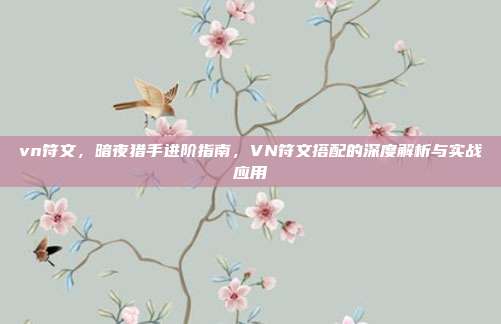 vn符文，暗夜猎手进阶指南，VN符文搭配的深度解析与实战应用