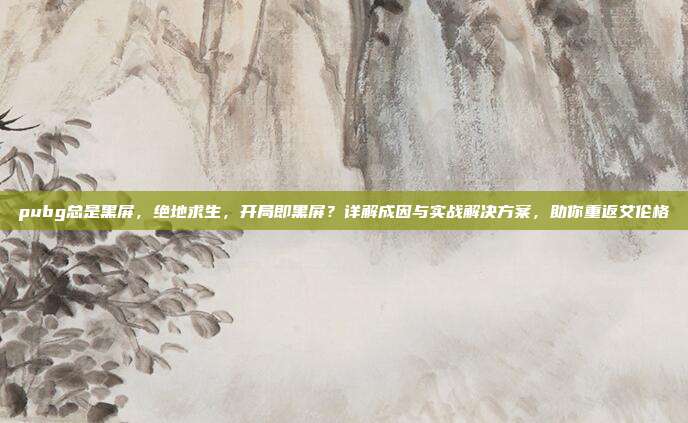 pubg总是黑屏，绝地求生，开局即黑屏？详解成因与实战解决方案，助你重返艾伦格