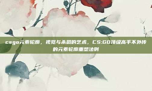 csgo元素轮廓,视觉与杀戮的艺术,CS:GO顶级高手不外传的元素轮廓重塑法则