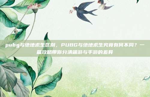 pubg与绝地求生区别,PUBG与绝地求生究竟有何不同?一篇攻略带你分清端游与手游的差异