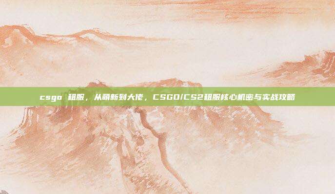 csgo 租服，从萌新到大佬，CSGO/CS2租服核心机密与实战攻略
