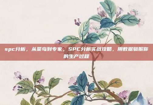 spc分析，从菜鸟到专家，SPC分析实战攻略，用数据驯服你的生产过程