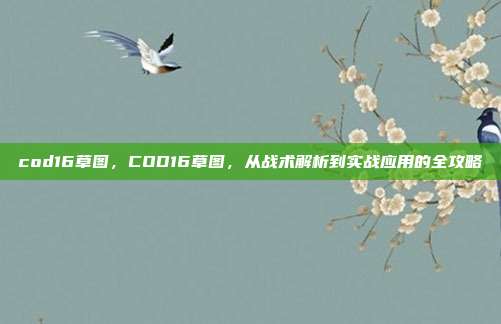 cod16草图,COD16草图,从战术解析到实战应用的全攻略