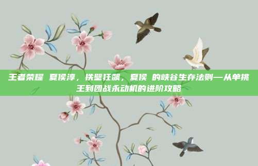 王者荣耀 夏侯淳，铁壁狂飙，夏侯惇的峡谷生存法则—从单挑王到团战永动机的进阶攻略