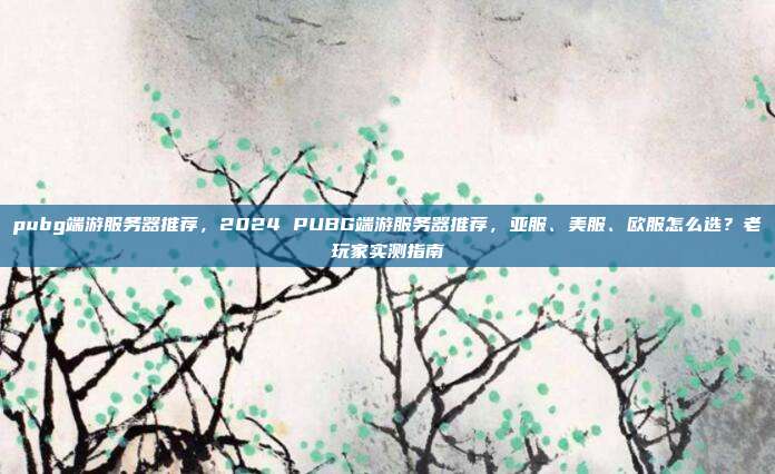 pubg端游服务器推荐，2024 PUBG端游服务器推荐，亚服、美服、欧服怎么选？老玩家实测指南