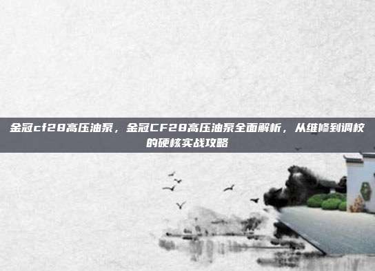 金冠cf28高压油泵,金冠CF28高压油泵全面解析,从维修到调校的硬核实战攻略