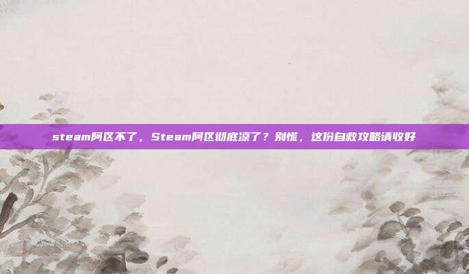 steam阿区不了,Steam阿区彻底凉了?别慌,这份自救攻略请收好