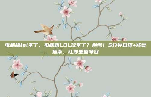 电脑版lol不了,电脑版LOL玩不了?别慌!5分钟自查+修复指南,让你重回峡谷