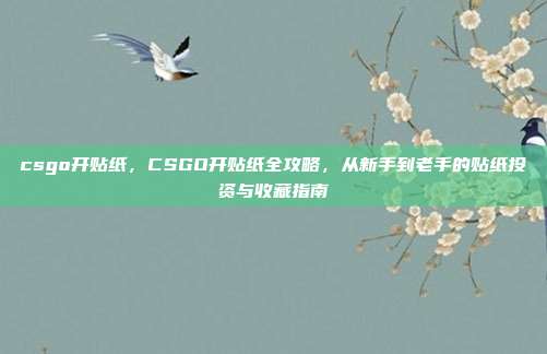 csgo开贴纸,CSGO开贴纸全攻略,从新手到老手的贴纸投资与收藏指南