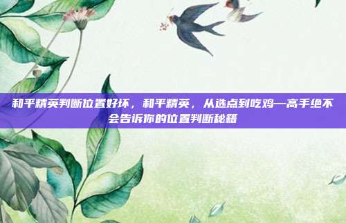 和平精英判断位置好坏,和平精英,从选点到吃鸡—高手绝不会告诉你的位置判断秘籍