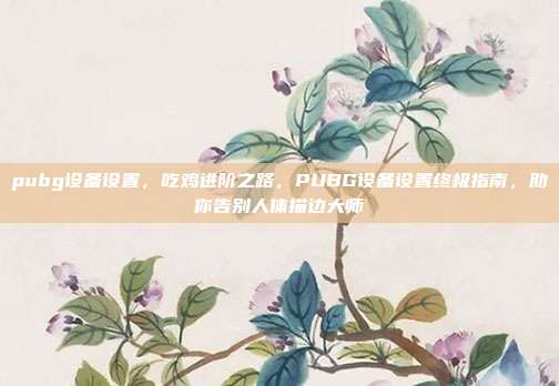 pubg设备设置，吃鸡进阶之路，PUBG设备设置终极指南，助你告别人体描边大师