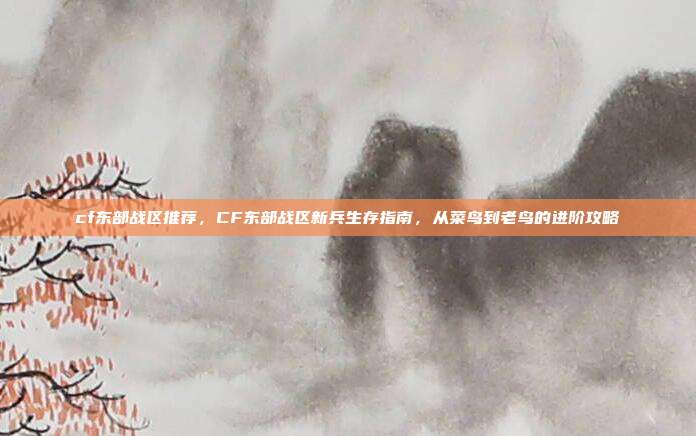cf东部战区推荐，CF东部战区新兵生存指南，从菜鸟到老鸟的进阶攻略