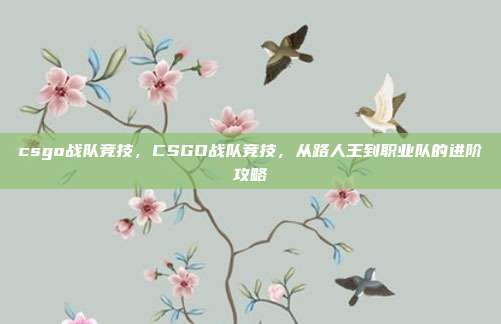 csgo战队竞技,CSGO战队竞技,从路人王到职业队的进阶攻略