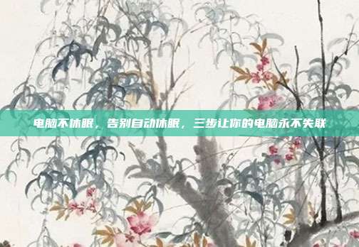 电脑不休眠,告别自动休眠,三步让你的电脑永不失联