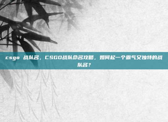 csgo 战队名，CSGO战队命名攻略，如何起一个霸气又独特的战队名？